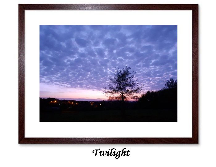 Twilight Framed Print